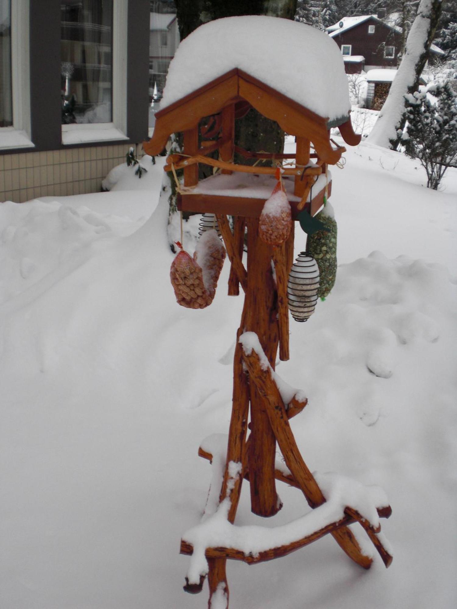 Landhaus Irmgard Braunlage Exterior foto